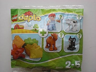 Lego Duplo Polybag 30067