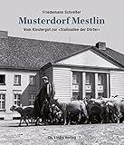 Musterdorf Mestlin: Vom Klostergut zur »Stalinallee der Dörfer« (großformatiger Bild-Text-Band mit 123 Abbildungen!) by Friedemann Schreiter