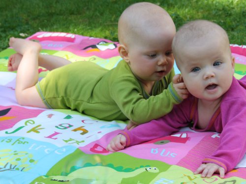 Imagen 4 de millemarille 40942 - Gimnasio