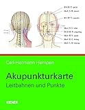 Image de Akupunkturkarte: Leitbahnen und Punkte