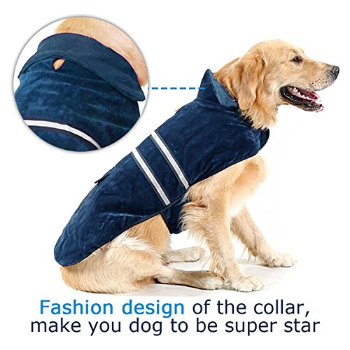 Poppypet-Winter-Coat-for-Dog-Warm-Dog-Coats-Dog-Jacket-Winter-Protect-Coat-Winter-Clothes-for-Dogs-Dog-Winter-Warm-Clothes-Blue-L