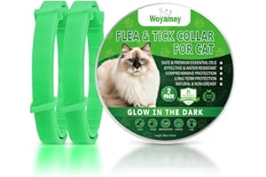 Woyamay Collare Antiparassitario per Gatti, Luminoso Collare Antipulci Gatto Impermeabile Pulci e Zecche Collare Gatto, Efficace Collare Antipulci per Gatti con Protezione di 8 Mesi Verde, 2 Pezzi