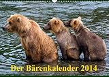 Der Bärenkalender 2014 (Wandkalender 2014 DIN A3 quer): Grizzlybären - ein Fotoshooting der besonderen Art (Monatskalender, 14 Seiten) by