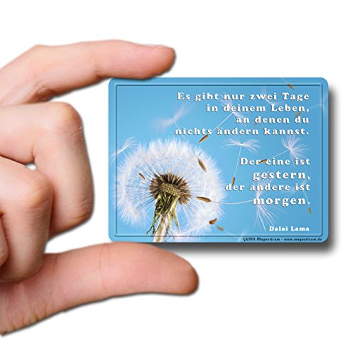 Magnet - Pusteblume Gestern und Morgen - Poesie Magnet 8 x 6 cm - Magnetschild mit Spruch - Metall Magnet für Kühlschrank Magnettafel Pinnwand Magnetpinnwand Memoboard Whiteboard - Original Magnete GUMA Magneticum