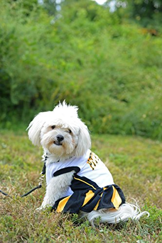 Mirage-NFL-Pittsburgh-Steelers-Dog-Cheerleader-Dress