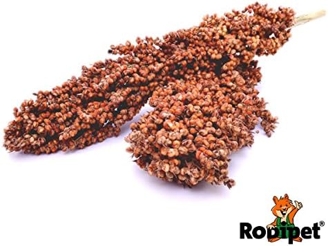 Rodipet® Sorghum Sprays – 200 g