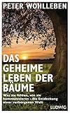 Bücher Neuerscheinungen 2022 - Das geheime Leben der Bäume von Peter Wohlleben