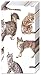 Pack of 10 Paper Pocket Tissues My Favourite Cat