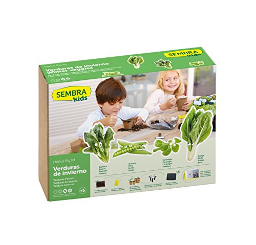 SEMBRA - juego educativo, Kit huerto Verduras de invierno