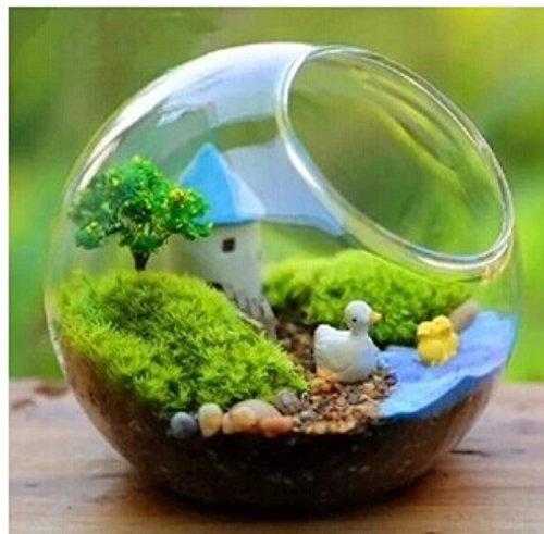 Gazechimp Kugel Ball Form , Glas Blumenvase Mikro DIY Pflanzen Blumen Terrarium Container Flasche , 12 x 11cm - 4