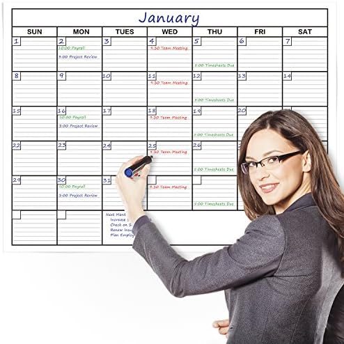 Delane Large Wet And Dry Erase Dry Wipe Wall Calendar Planner - 61 x 91cm - BONUS Foam Mounting Pieces Included
