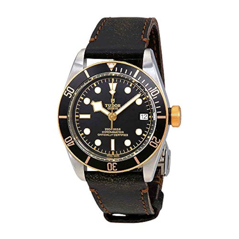 Tudor royal m28600-0001. Tudor royal 38. Tudor часы. Tudor часы. Tudor black bay pro.