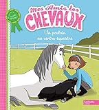 Un poulain au centre équestre