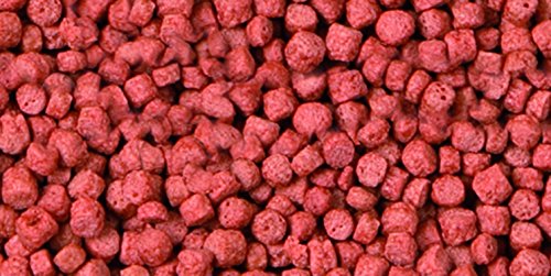 sera 07112 KOI ROYAL MINI 3800 ml – Hauptfutter für die optimale Entwicklung von Koi bis 12 cm - 4