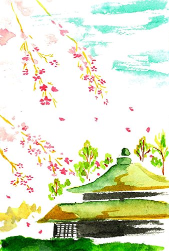 AKASHIYA Fude Pinselstift shin-mouhitsu Tinte (sa-300) 20 Color Set - 12