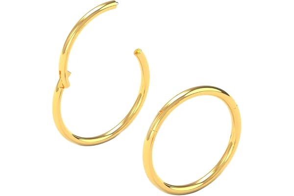 Body CAC 0.8mm/1.0mm/1.2mm/1.6mm Piercing Anneau Segment Clipsable Acier Chirurgical,Clikcer Anneau Segment Articulé Nez Oreille,avec un Diamètre de 5mm à 11mm