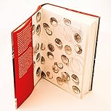 Image de Herr Lehmann: Gezeichnet von Tim Dinter