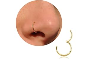 20G 18G 16G Titanium Nose Ring Hoop, Cartilage Hoop Earrings for Women Men Silver Gold Nose Ring Septum Ring Tragus Conch Hel