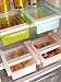 InddusHome™ ABS / BPA Free, Multi Purpose Storage Racks Tray (Pack of 4),Multi-color With Rubber Grip (4) RS.399.00