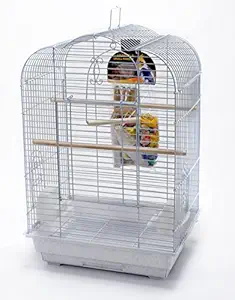 Penn Plax Cockatiel Bird Cage Starter Kit, 27 inch Cage Scallop Design with Toy, Cuttlebone, Treat, and Wood Perch