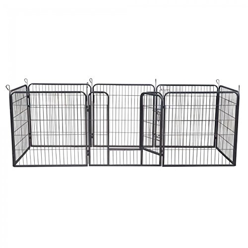 ZOOMUNDO-puppy-area-big