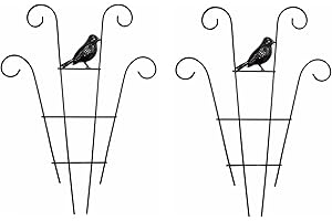 PRTECY 2 Pcs Plant Trellis for Climbing Plants Outdoor, Black Coated Fan Pot Trellis Garden Metal Support Stake for Indoor Outdoor Vines Flower Vegetable (D)