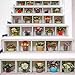 Price comparison product image Jeerui 3D Stereoscopic Stairs Sticker Home Decor Wall Decals Wall Decoration Flower Decor Art Decal Home Decor for Stairs