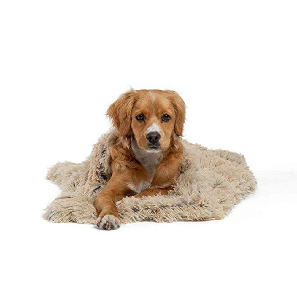 Soundwinds Dog Fleece Blanket Soft Warm Plush Dog Blanket Washable