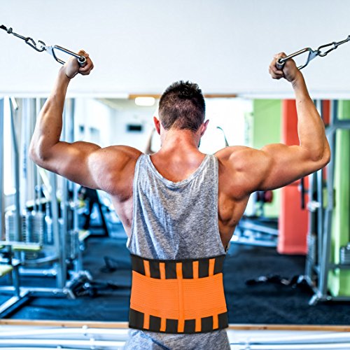 Armor Belt Sport-Gürtel Rückenstütze mit orthopädischer Wirkung Rückenbandage S-XL - 6