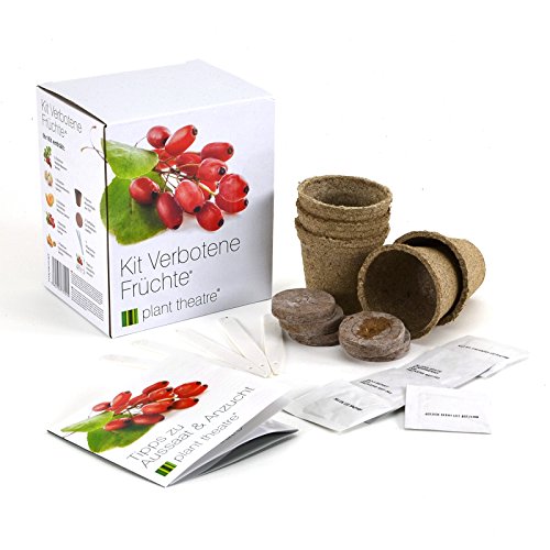 Kit Verbotene Früchte von Plant Theatre – 5 Köstliche Früchte wachsen – Ein tolles Geschenk - 3