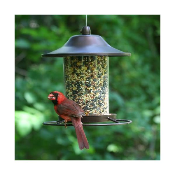 Perky-Pet Mangiatoia Panorama Piccola per Uccelli da 900 g Color Marrone Rustico / 312