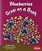 Produktbild Blueberries Grow on a Bush (How Fruits and Vegetables Grow)