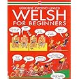 Welsh For Beginners (Internet Linked with Audio CD)