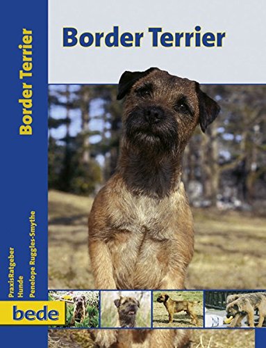 Download Border Terrier, Praxisratgeber