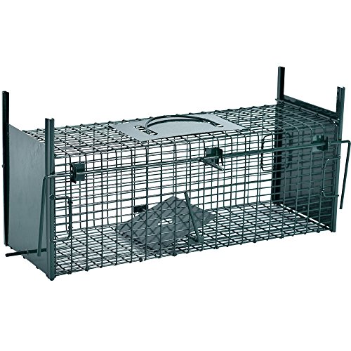 Lebendfalle 53 x 19 x 19 cm mit 2 Eingängen Drahtfalle / Rattenfalle mit Bissschutz & Trittbrett professionelle Tierfalle mit Rahmenverstärkung Türsicherung sofort einsatzbereit & pulverbeschichtet - 3
