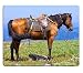 Produktbild Niedlich Mousepads Ehrfürchtige indische laufende Pferde Prance auf grüner Wiesen-Mat Gaming Mauspad Mauspad PM0983