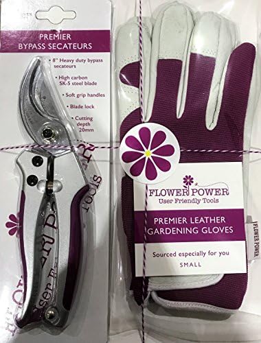 Ladies Gardening Glove & Secateurs Set - Bypass Pruners & Leather Garden Gloves - Perfect Garden Gift for Women (Glove - Small)
