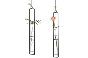 ‎SZIQIQI Sziqiqi Kreativer Glasvase aus Schmiedeeisen, Hängender Behälter für Wasserkultur, Hängende Flasche Reagenzglas für Blumen, Hängende Betriebsdekoration im Wohnzimmer Garten, Schwarz