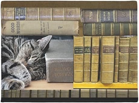 KliwKlol Sleeping Library Book Cat Doormat Indoor Floor Mats Door Rubber Mat for Entrance Way Decor Welcome Rug 60 x 40cm Christmas Rugs Gifts