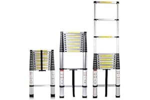 DICN Escalera telescópica de Aluminio 3.8 m, 13 Peldaños, Plegable, Extensible, Fácil de Transportar, para Constructores de Bricolaje, Interiores y Exteriores