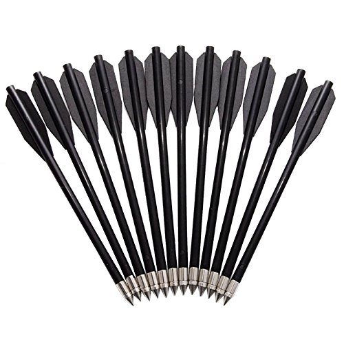 12 flechas de los dardos de metal para Abs Ballesta Negro Flecha de la blanco
