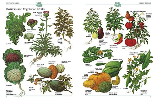 The New Complete Book of Self-Sufficiency: The Classic Guide for Realists and Dreamers - Image 4