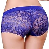 Malloom® mujer bragas de encaje ropa interior transparente comodidad respirable bragas (azul)