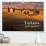  Toskana - mio amore(Premium, hochwertiger DIN A2 Wandkalender 2020, Kunstdruck in Hochglanz): Toskana - eine Region zum Verlieben (Monatskalender, 14 Seiten ) (CALVENDO Natur)