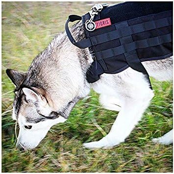 Paystore Army Green, XL : OneTigris Army Tactical Dog Training Molle Vest Harness Military Load Bearing Harness SWAT Dog Jacket
