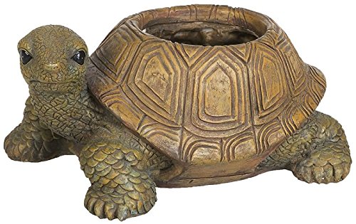 Schildkröte als Gartendeko Gartenfigur Pflanztopf Schuh Blumentopf Übertopf Schildkröte Tiere Wildlife Deko Figur Turtle - 4