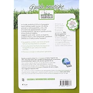 Consigli pratici e ricette per conservare gli ortaggi