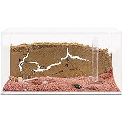 AntHouse - Fourmilière Naturelle en Sable - Kit Commencement Acrylique 20x10x10 cm (Fourmis Gratuites)