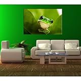 Cuadro rana - 30 x 45 cm, 40 x 60 cm, 50 x 75 cm, 60 x 90 cm, 80 x 120 cm, 100 x...