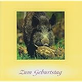 Handmadegruss Jagd Grußkarten. Weidmannsheil! Wir sind seit Jahren erfolgreich die erste Adresse für Jäger/innen in Europa